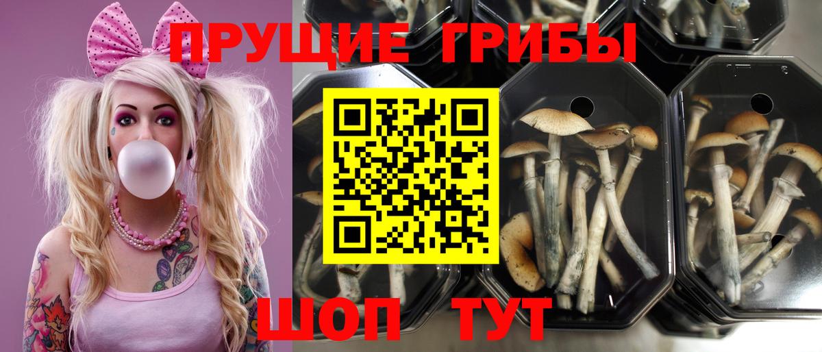 Псилоцибиновые грибы Magic Shrooms Ишим