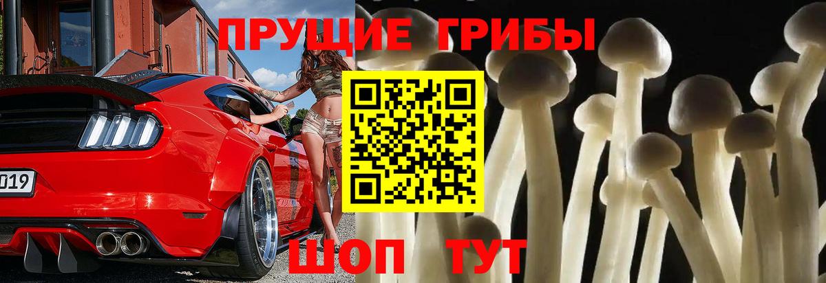 Ишим  Псилоцибиновые грибы мицелий  Вход с VPN 
